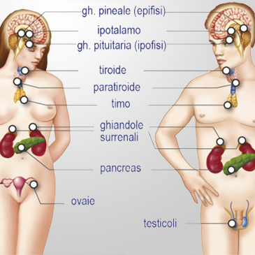 Altre Endocrinopatie